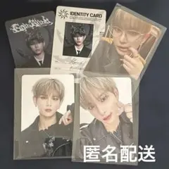 &TEAM HARUA ハルア　トレカ　セット