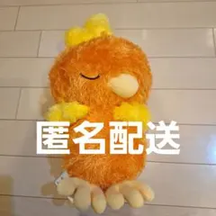ポケットモンスター アチャモ ぬいぐるみ