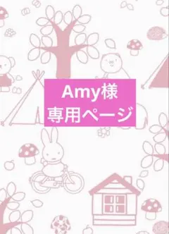 Amy様♡専用ページ♡コンプリートセットのサムネイル