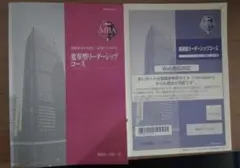模範解答☆MBAシリーズ 変革型リーダーシップコース - メルカリ