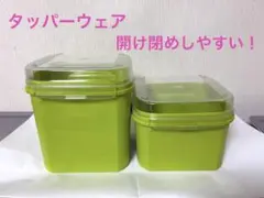 タッパーウェア角形4個組すのこ3枚付 - メルカリ
