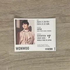 SEVENTEEN セブチ RIGHT HERE ラベルドリンク ウォヌ シール