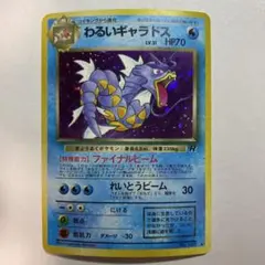 ギャラドス わるいギャラドス 3枚セット *マグネットローダー付 - メルカリ