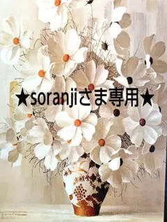 ★soranjiさま専用★