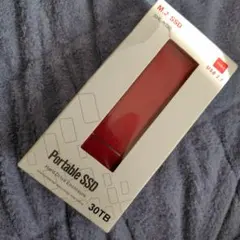 新品！ジャンク！M.2 SSD 外付け 30TB
