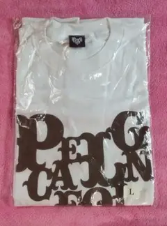 綾香ツアーグッズ/Tシャツ(L)のサムネイル