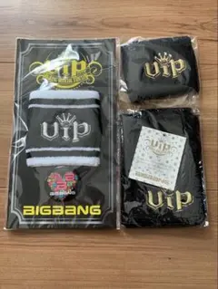 BIG BANG VIP SEAT 特典グッズ BIGBANG VIPシート特典の通販 by ぴあ's shop｜ラクマ