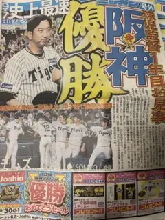 【3枚セット】阪神タイガース 優勝記念 号外 ニッカン