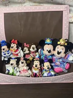 ディズニーリゾート　ミッキー・ミニー ペアぬいぐるみ5セット10体