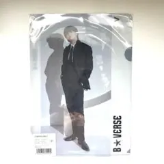 B☆VERSE クリアファイル V テテ　テヒョン　新品未使用