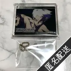 ヒロアカ オールフォーワン アニメイトカフェ CoLotta Vol.4