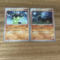 ジガルデ XY