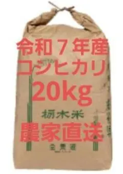 農家直送　コシヒカリ　20kg　栃木県産　令和7年 農家直送 コシヒカリ 20kg 栃木県産 令和7年 - メルカリ