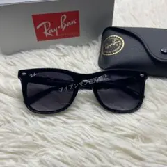 RayBan/レイバン 未使用 サングラスRB4391