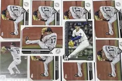 Item thumbnail for item 2038968d-2b1a-4524-9e3c-f978d70a6228