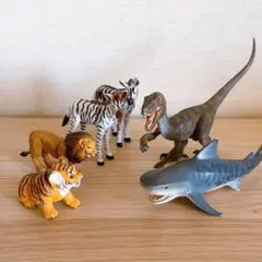 Schleich シュライヒ カロターラ フィギュア 動物 恐竜 サメ 生き物 海の動物 -シュライヒ | 動物・恐竜フィギュアのZOOO!