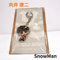 Snow Man 向井康二 すのチル アクリルキーホルダー ぶら下がり