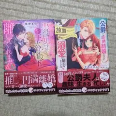 ayumi様 リクエスト 2点 まとめ商品