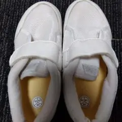 Item thumbnail for item 74093220-5e91-4fed-9f80-1c6cc97d5551