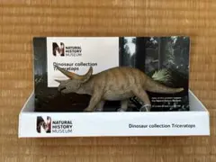 Item thumbnail for item 768786d6-ac16-4119-bf3e-41598e39d6fd