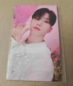 SEVENTEEN セブチ always yours トレカ ホシ