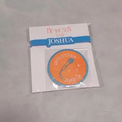 SEVENTEEN BE THE SUN ライトスティックデコリング ジョシュア