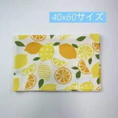 Item thumbnail for item c26dfe04-bdf3-4f0f-93b0-dcd2e22d51a2