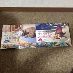 Item thumbnail for item d81aea8d-5954-4ab7-9542-60051e9ba656