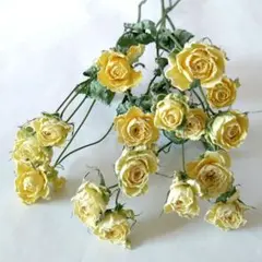 ryoo様 リクエスト 2点 まとめ商品