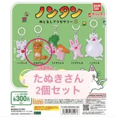 ノンタン めじるしアクセサリー たぬきさん 2個セット