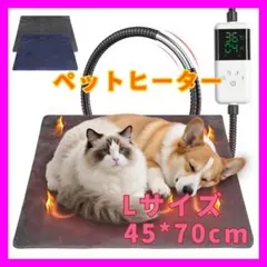 Item thumbnail for item 38618742-64bf-4dcf-85ee-8dc3ea0a5cbc