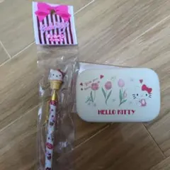 【即購入◯】ハローキティ 小物ケースとポールペン　2点セット