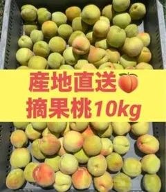 桃 摘果桃 早摘み 若桃 硬い桃 カリカリ 加工用 約 10kg 産地直送のサムネイル