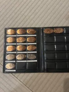 ディズニー スーベニアメダル 15枚セット ケースブック付