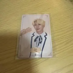 팀 이니 미니 최강 토레카 허요 범
