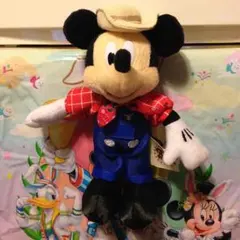 33周年ミッキーぬいば