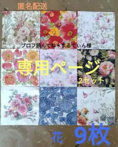 Item thumbnail for item 5b89adf1-513f-4291-9b1a-4bdab12d6c4a