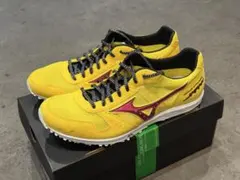 美品 26.0cm Mizuno ウェーブクルーズジャパン