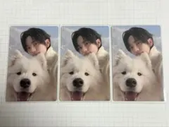 2026年最新】TWS シニュ トレカの人気アイテム - メルカリ