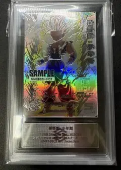 2025年最新】Mm6 lc 孫悟飯の人気アイテム - メルカリ