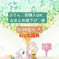 ☆ℳ @プロフ確認お願いしますページ☆ ☆Mプロフ、説明文ご確認お願いします☆様 専用ページ - メルカリ