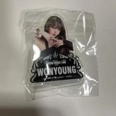 元英 ive 名牌掛飾