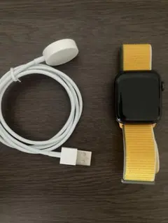 Apple Watch SE 第一世代【ジャンク品】44mm アルミニウム 本体