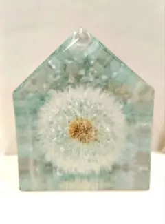 Item thumbnail for item 365988e5-a1e8-4a9b-872a-211de58204b4