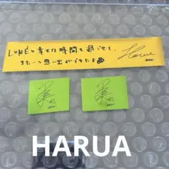 &TEAM HARUA ハルア アジアツアー 金テープ