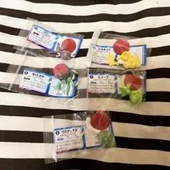 チョコエッグ　ポケモン　ピカチュウ　他セット