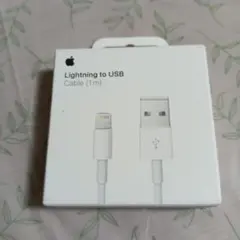 Apple Lightning to USB Cable (1m)