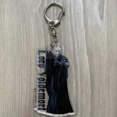 ハリーポッター　トレーディングアクリルキーホルダー　ヴォルデモート