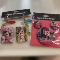 ディズニー　イマジニングザマジック　キーホルダー　＆ 缶バッジ ミニー蜷川実花