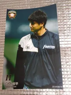 大谷翔平 2014 ハイライトフォト No.303 日本ハム 球団公式写真